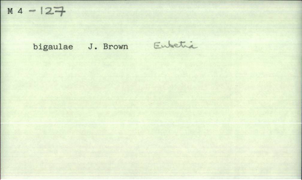 front of card